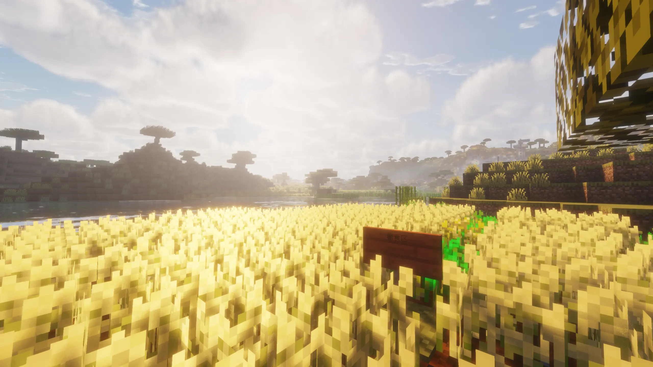 有趣的玩家建筑